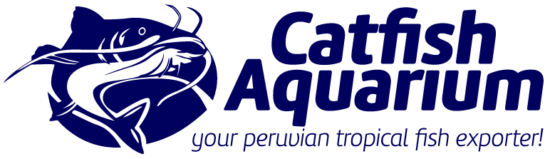 Catfish Aquarium